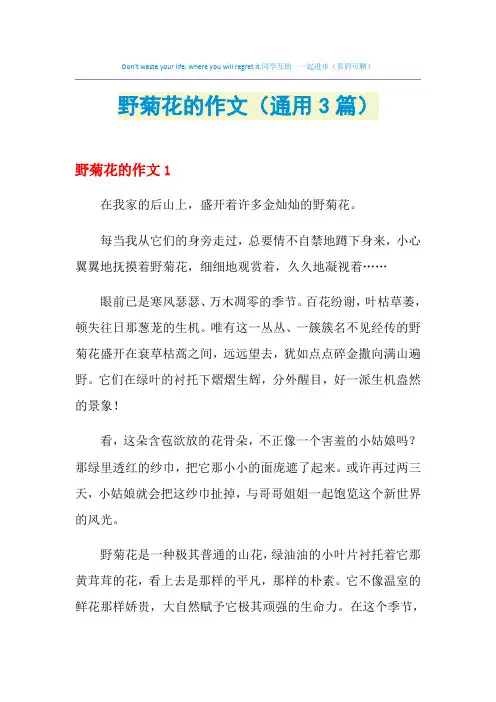 野菊花的作文(通用3篇)