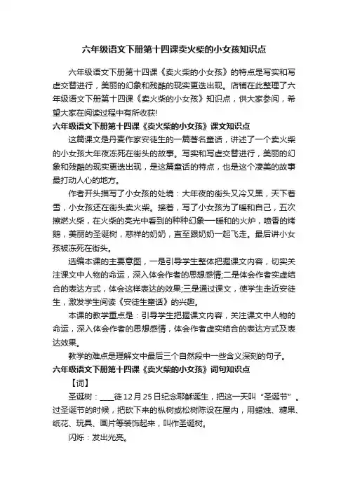 六年级语文下册第十四课卖火柴的小女孩知识点