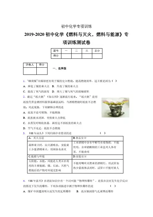 2019-2020学年初中化学《燃料与灭火,燃料与能源》专项训练模拟测试(含答案) (446)