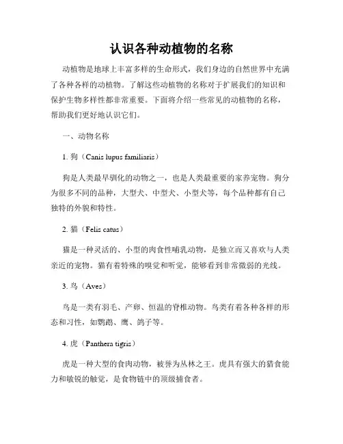 认识各种动植物的名称