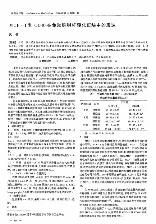 MCP-1和CD40在兔动脉粥样硬化斑块中的表达