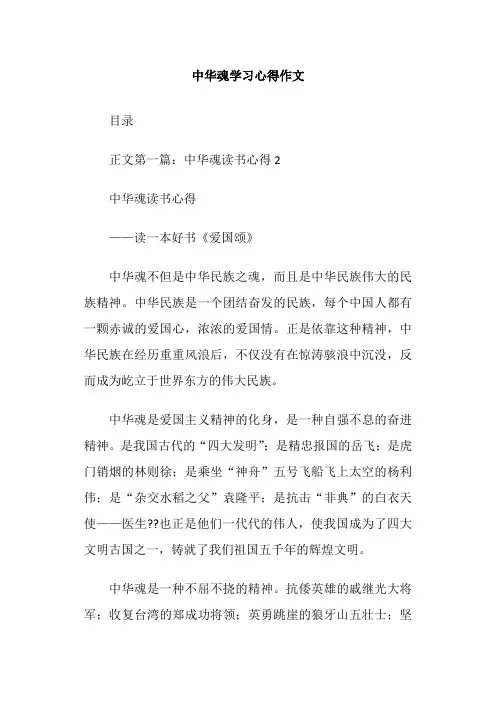 中华魂学习心得作文
