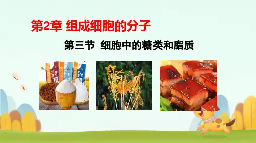 人教版2019高中生物必修一2.3细胞中的糖类和脂质(共27张PPT)