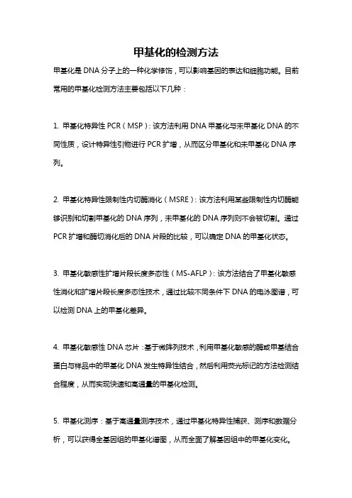 甲基化的检测方法