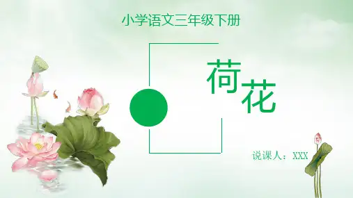 《荷花》说课PPT课件