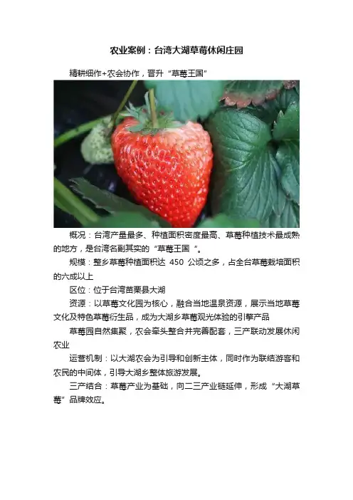 农业案例：台湾大湖草莓休闲庄园