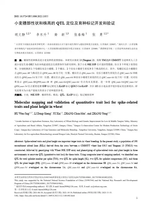 小麦穗部性状和株高的QTL定位及育种标记开发和验证