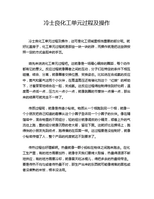 冷士良化工单元过程及操作