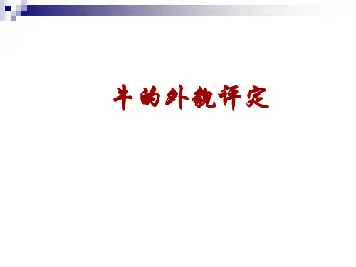 牛的外貌评定(自制)讲解