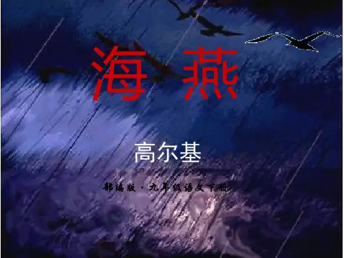 人教部编版九年级下册语文4《海燕》PPT课件