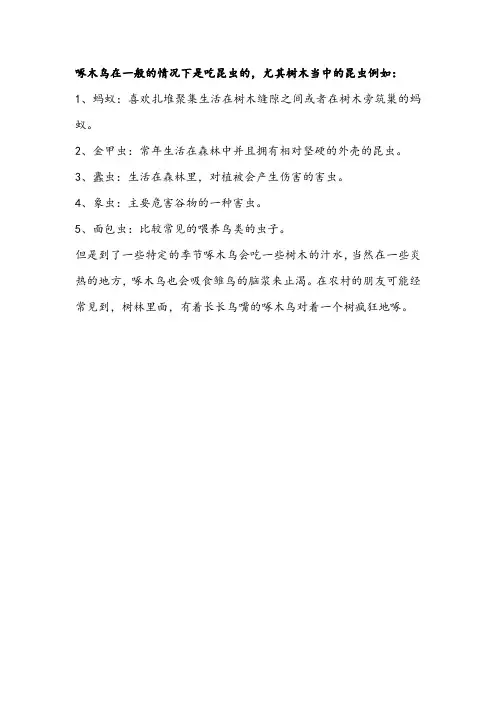啄木鸟吃什么