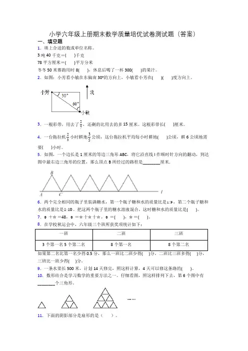 小学六年级上册期末数学质量培优试卷测试题(答案)