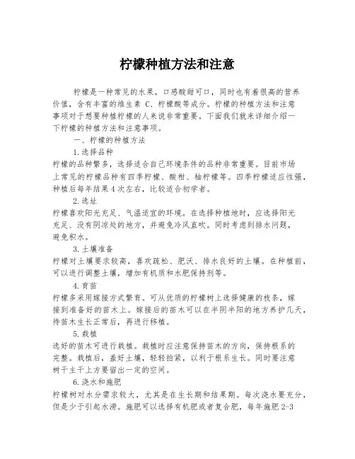 柠檬种植方法和注意
