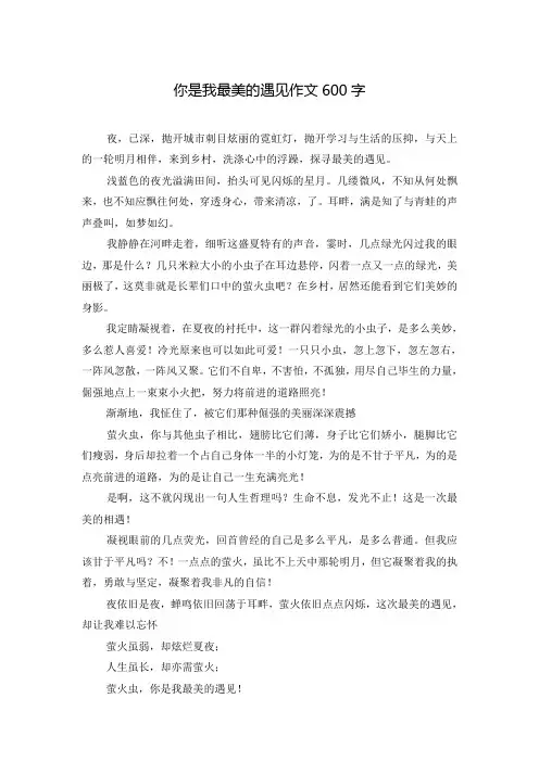 你是我最美的遇见作文600字