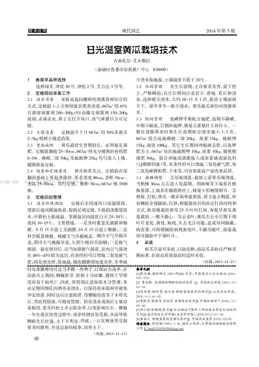 日光温室黄瓜栽培技术