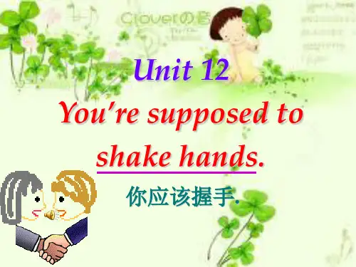 unit 12重要课件第一课时