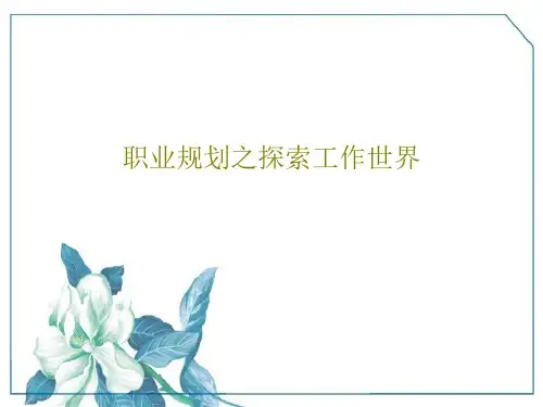 职业规划之探索工作世界PPT文档43页
