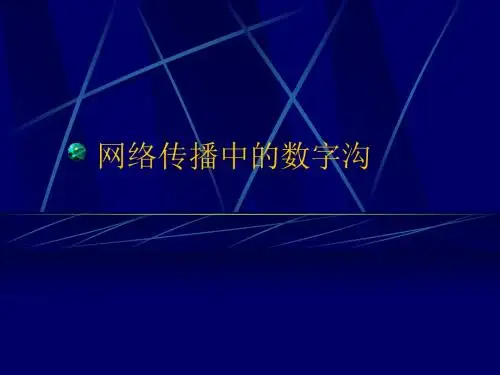 南大新媒体传播与应用-课件：网络传播的文化与政治：数字沟要修订