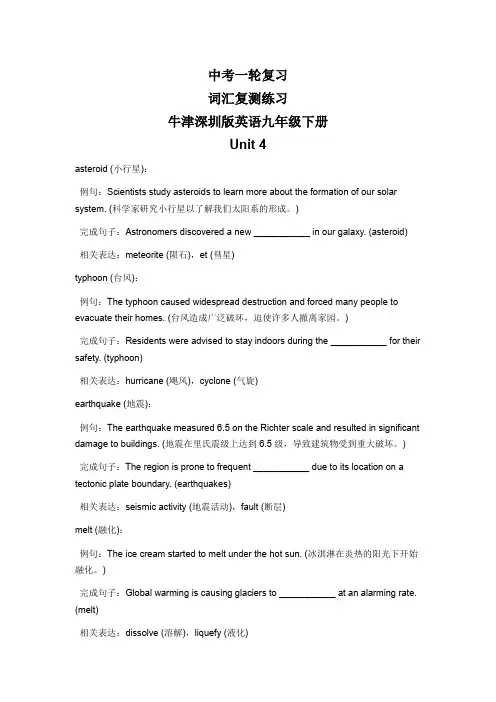 2024年牛津深圳版中考英语一轮复习九年级下册Unit4词汇复测练习