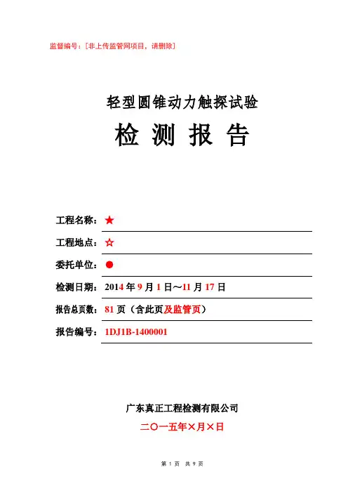 检测报告_N10触探