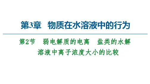  高中课件 物质在水溶液中的行为
