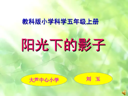 《阳光下的影子》课件