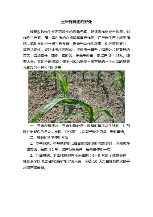 玉米施锌肥的好处