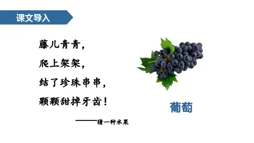 统编版二年级语文上册11 葡萄沟 课件(共38张PPT)