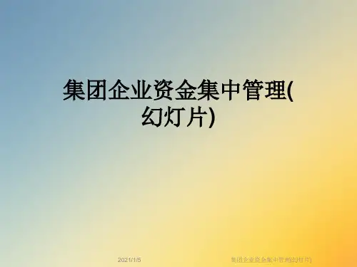 集团企业资金集中管理(幻灯片)