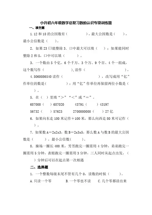 小升初六年级数学总复习数的认识专项训练题