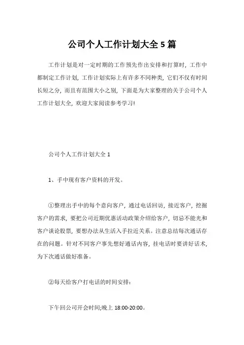 公司个人工作计划大全5篇