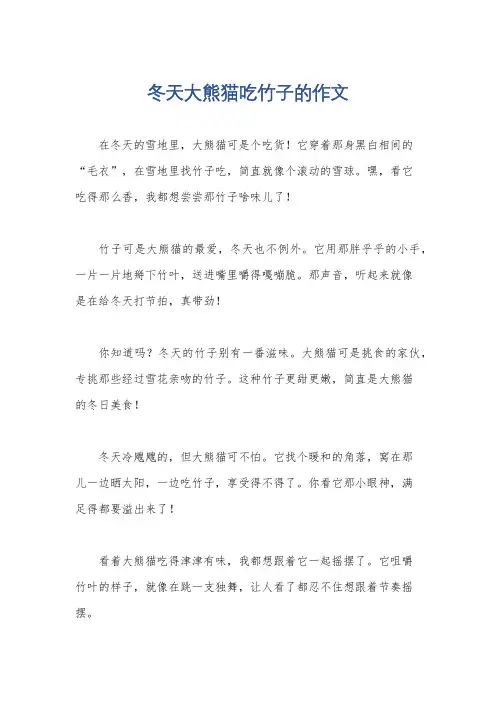 冬天大熊猫吃竹子的作文