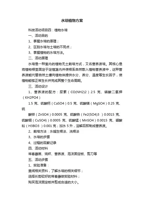水培植物方案