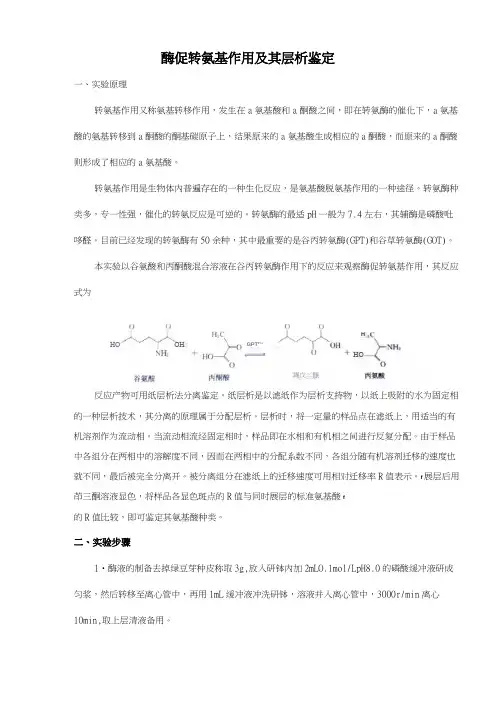 酶促转氨基作用及其层析鉴定