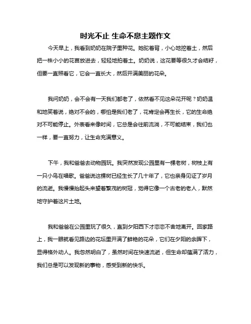 时光不止 生命不息主题作文