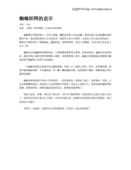 蜘蛛织网的启示