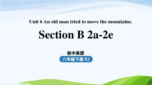 人教版八下英语Unit6第5课时(SectionB 2a-2e)