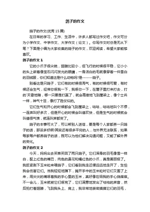鸽子的作文