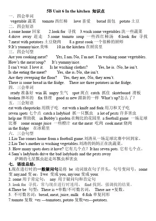 [译林版]5B Unit 6 In the kitchen 知识点