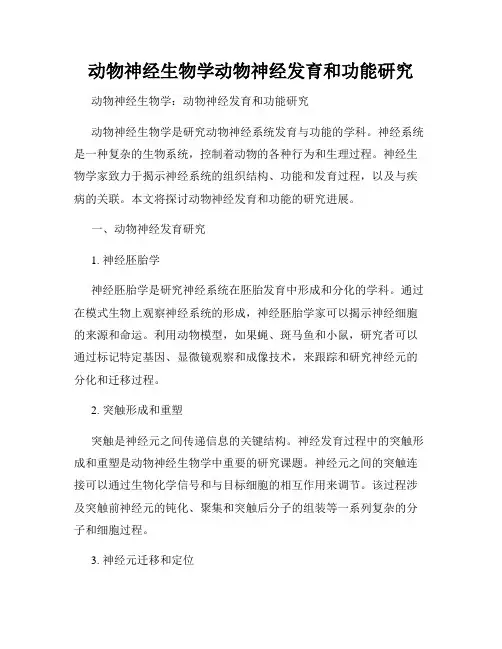 动物神经生物学动物神经发育和功能研究