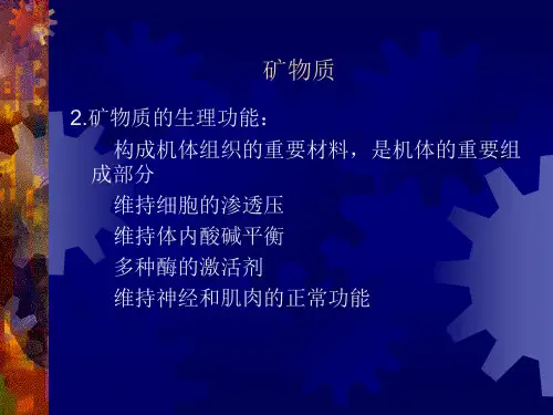 营养学基础矿物质