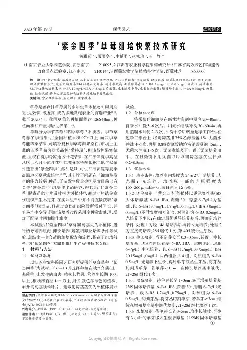 ‘紫金四季’草莓组培快繁技术研究