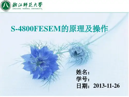 SEM原理及操作 课件 2013-11-26