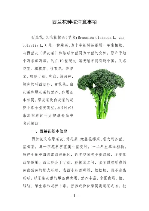 西兰花种植注意事项