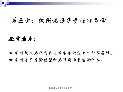 均衡纯保费责任准备金课件