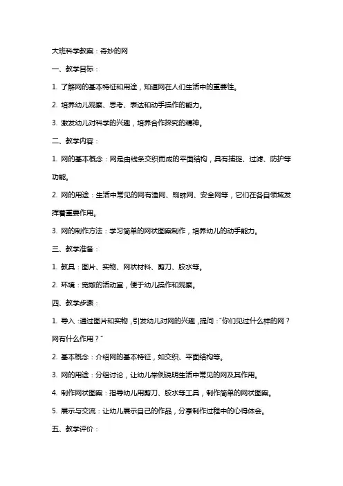 大班科学教案：奇妙的网