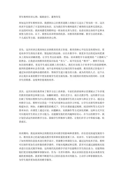 青年教师培训心得：砥砺前行,蓄势待发