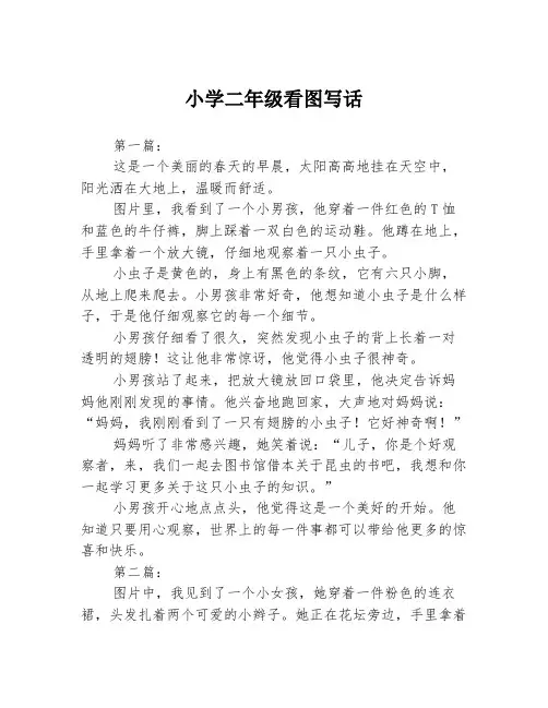 小学二年级看图写话2篇