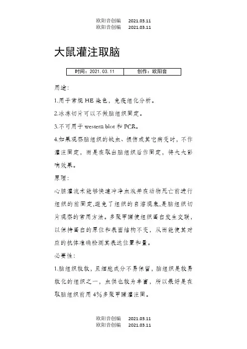 大鼠灌注取脑之欧阳音创编