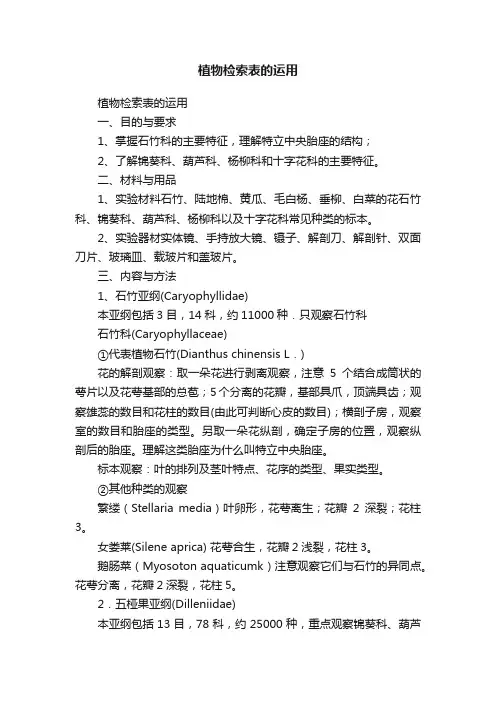 植物检索表的运用